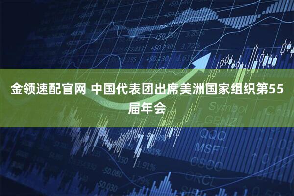 金领速配官网 中国代表团出席美洲国家组织第55届年会