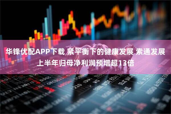华锋优配APP下载 紧平衡下的健康发展 索通发展上半年归母净利润预增超13倍