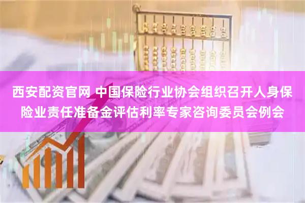 西安配资官网 中国保险行业协会组织召开人身保险业责任准备金评估利率专家咨询委员会例会